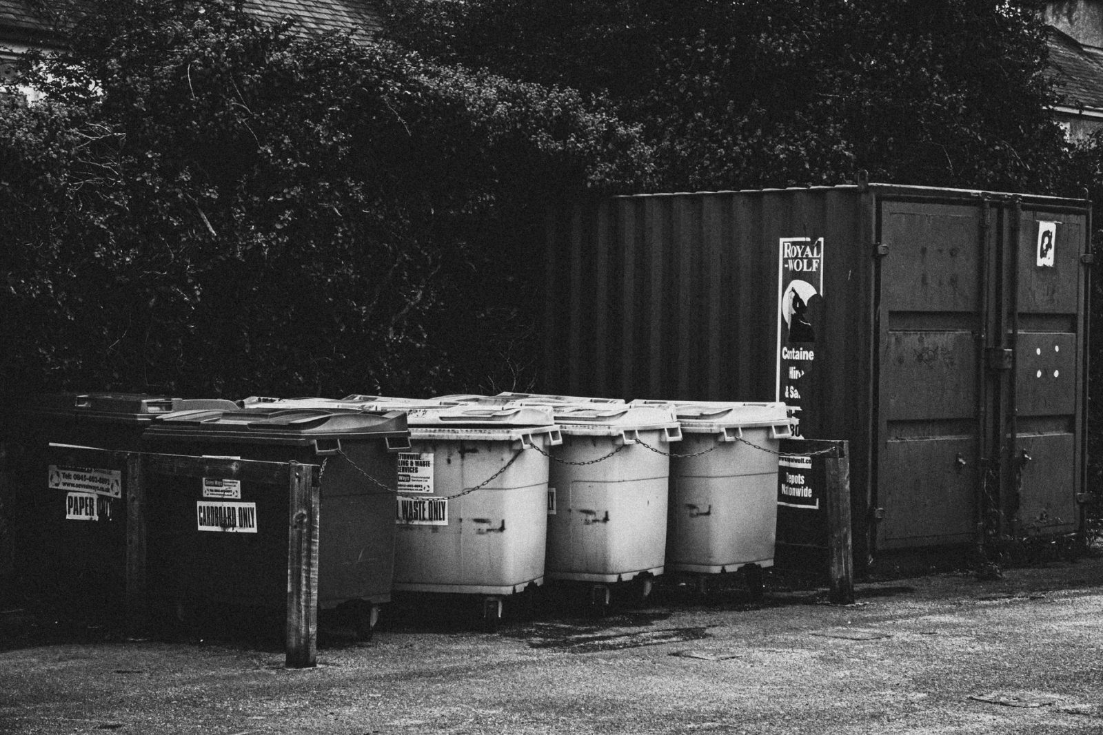 Container Plastik Hitam: Panduan Memilih untuk Kebutuhan Penyimpanan